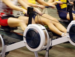 11353624 - girls exercising in the gym on rowing machines